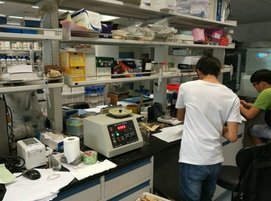 Institute of Genetics and Developmental Biology, Chinese Academy of Sciences uses our automatic seeding counting machine